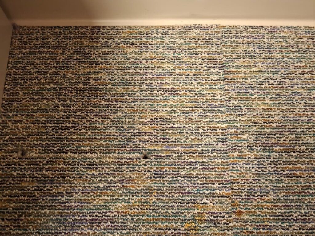 Carpet traffic lane — before and after — after